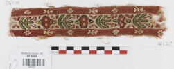 clavus ; fragment, image 1/4
