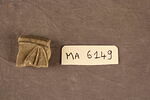 fragment, image 1/2