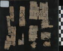 papyrus, image 2/2