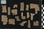 papyrus, image 2/2