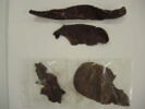 chaussure ; fragments, image 7/9