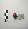 perle ; collier, image 2/2
