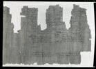 papyrus documentaire, image 15/18