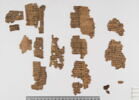 papyrus documentaire, image 3/18
