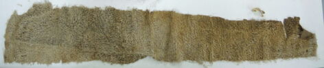 couverture  ; fragment, image 2/2