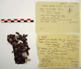 décor de textile ; fragment, image 2/2
