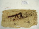 tissu, image 2/2