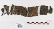 bande décorative d'habillement ; fragments, image 1/2