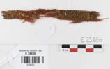 bande décorative d'habillement ; fragment, image 1/2