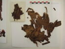 bonnet ; fragments ; fragments, image 2/2