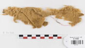 tissu ; fragment, image 1/2