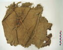châle ; fragment, image 2/2