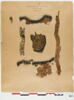bande décorative d'habillement ; orbiculus ; fragments, image 2/3