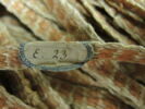 bandelette de momie, image 4/6