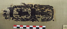 clavus ; fragment, image 2/2