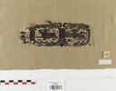 clavus ; fragment, image 1/2