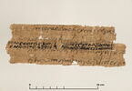 papyrus documentaire, image 2/2
