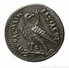 Tétradrachme d'argent de Ptolémée IV Philopator, image 2/2