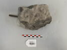 chapiteau, image 1/2