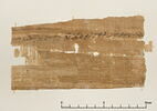 papyrus documentaire, image 2/2