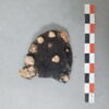 vêtement et pièce d'habillement, image 2/2