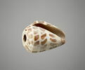 coquillage ; perle, image 1/4